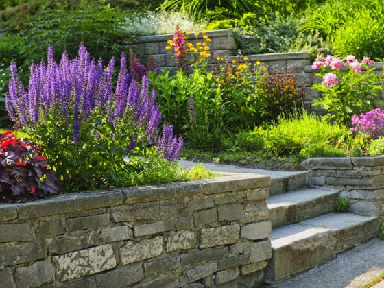 Garden with Stone Landscaping