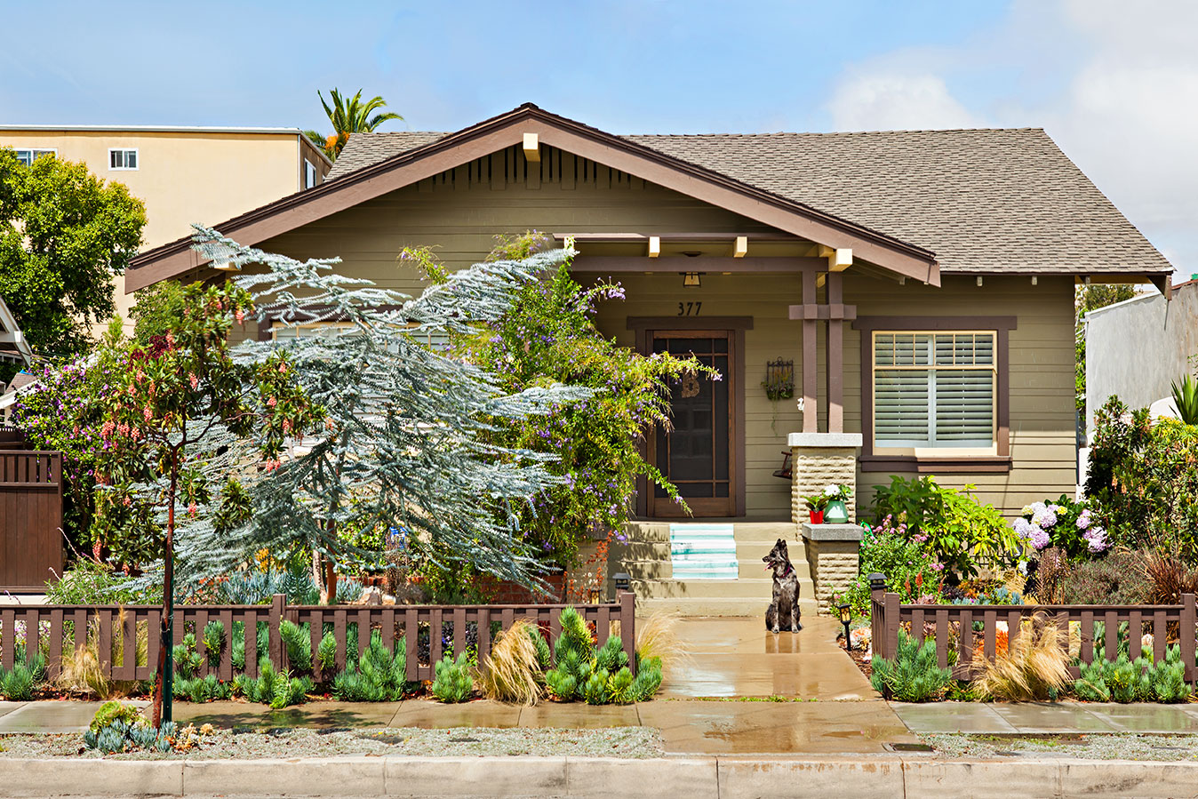 craftsman cottage iwth drought tolerant landscape