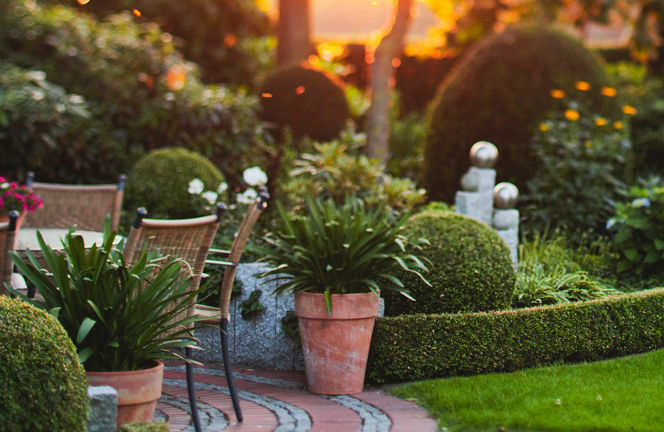 boxwood hedges next to patio furniture