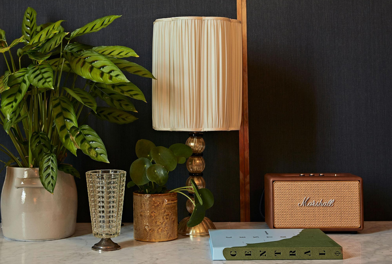 Office desk top in a dark toned study, topped with beveled glass, potted plants, book, lamp and a Marshall speaker.