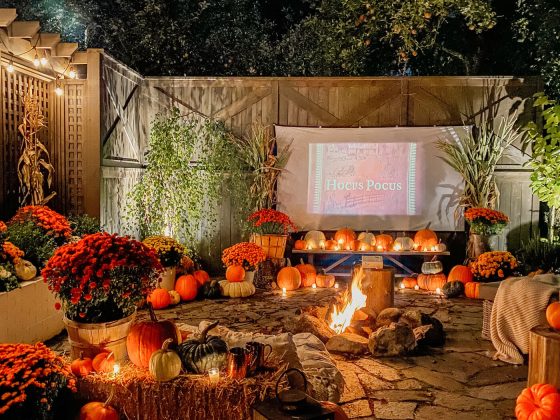 Backyard screening area decorated for fall