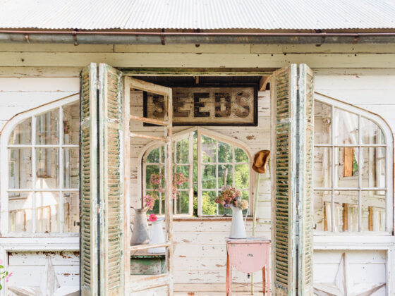 flower house with flower arrangements in vintage pitchers