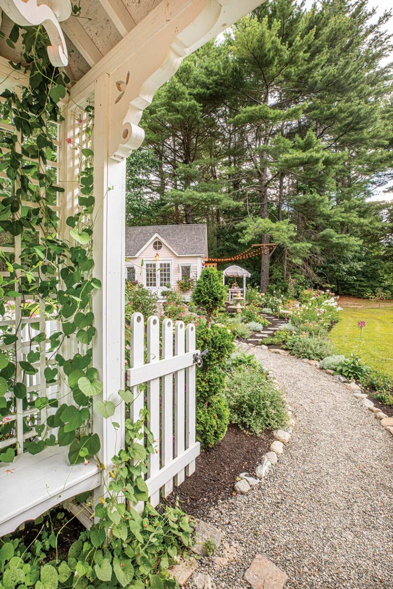 arbor with John Davis Roses honeysuckle and morning glories